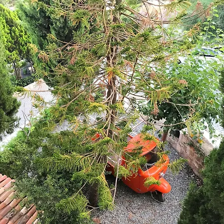 Taraca Romantik (adults Only)