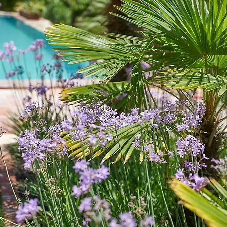 Taraca Romantik (adults Only) 住宿加早餐酒店