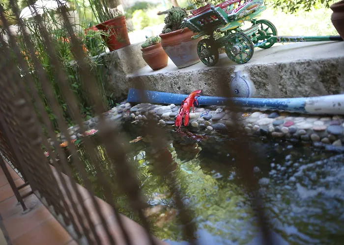 Hotel Taraca Romantik (adults Only)