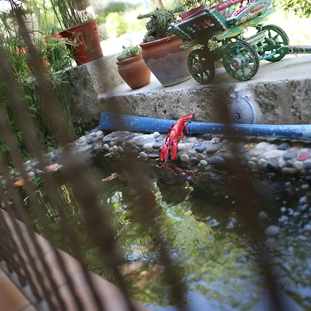 Bed & Breakfast Taraca Romantik (adults Only)