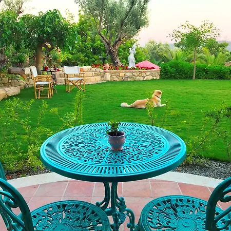 Taraca Romantik (adults Only) Bed & Breakfast 4*