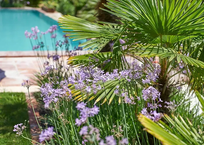 Taraca Romantik (adults Only) Hotel